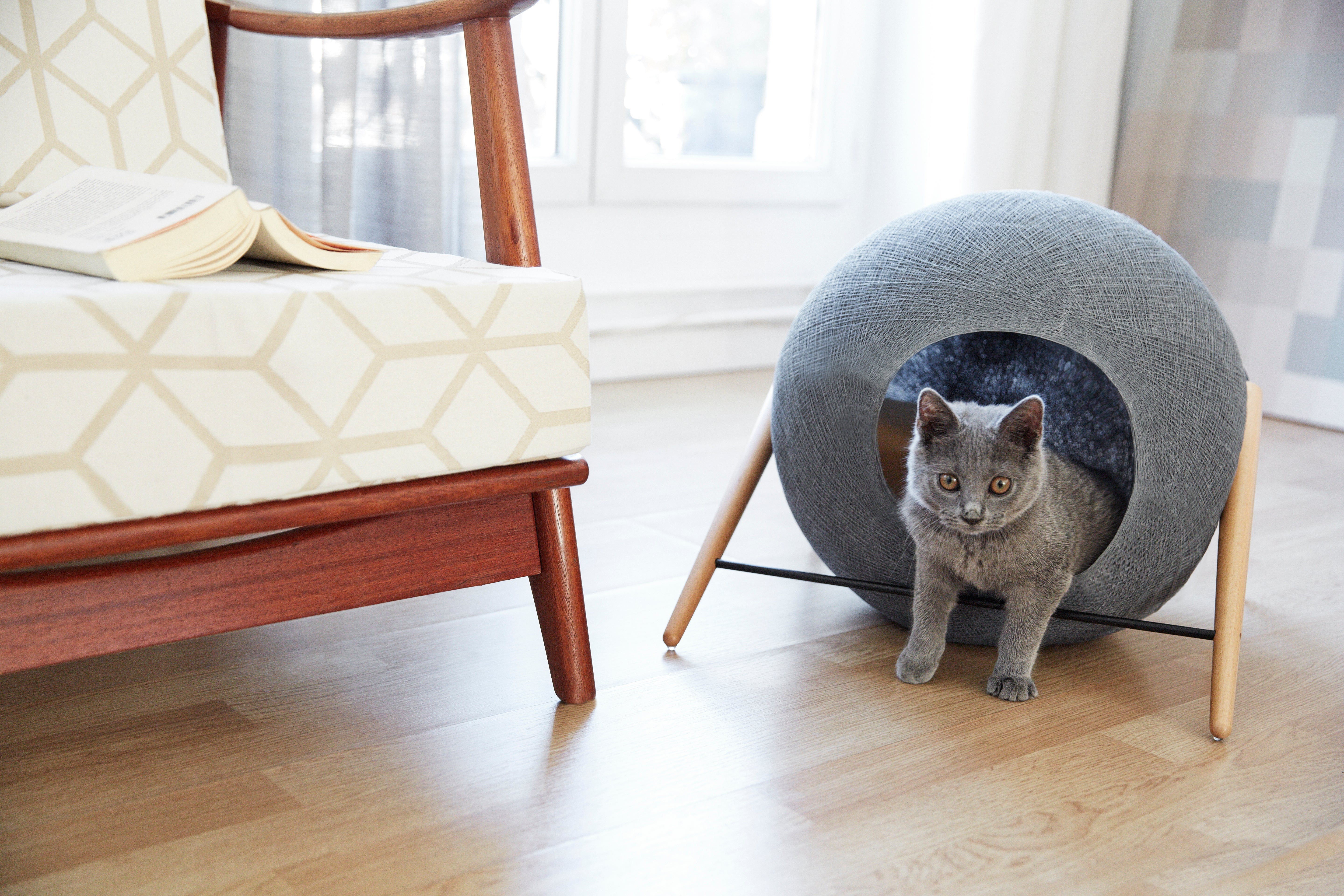 7 accessoires indispensables pour un chat d’intérieur heureux et équilibré