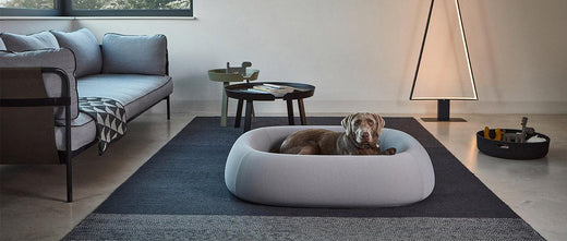 Panier pour chien innovant tout en courbe Barca Kasibe