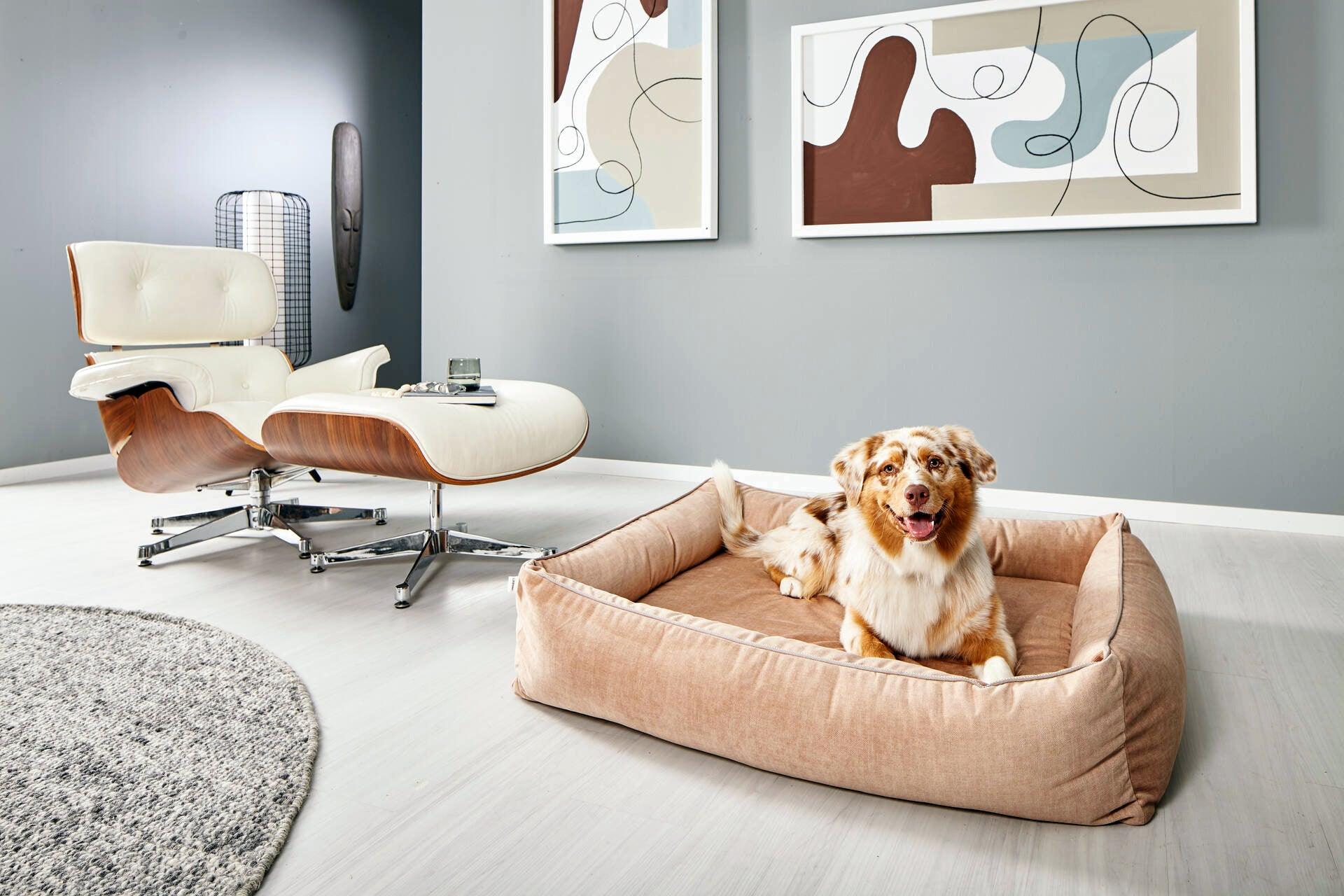 Pourquoi choisir un lit orthopédique pour mon chien ?