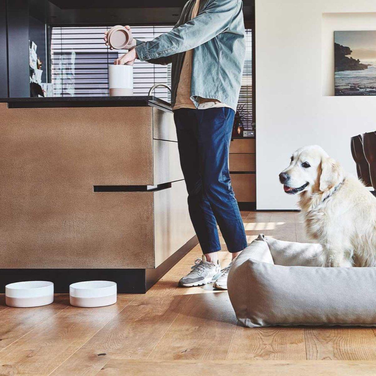 Boîtes à croquettes & friandises pour chats et chiens