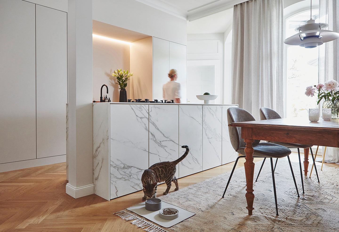 Chat tigré mangeant dans une gamelle design dans une cuisine moderne lumineuse