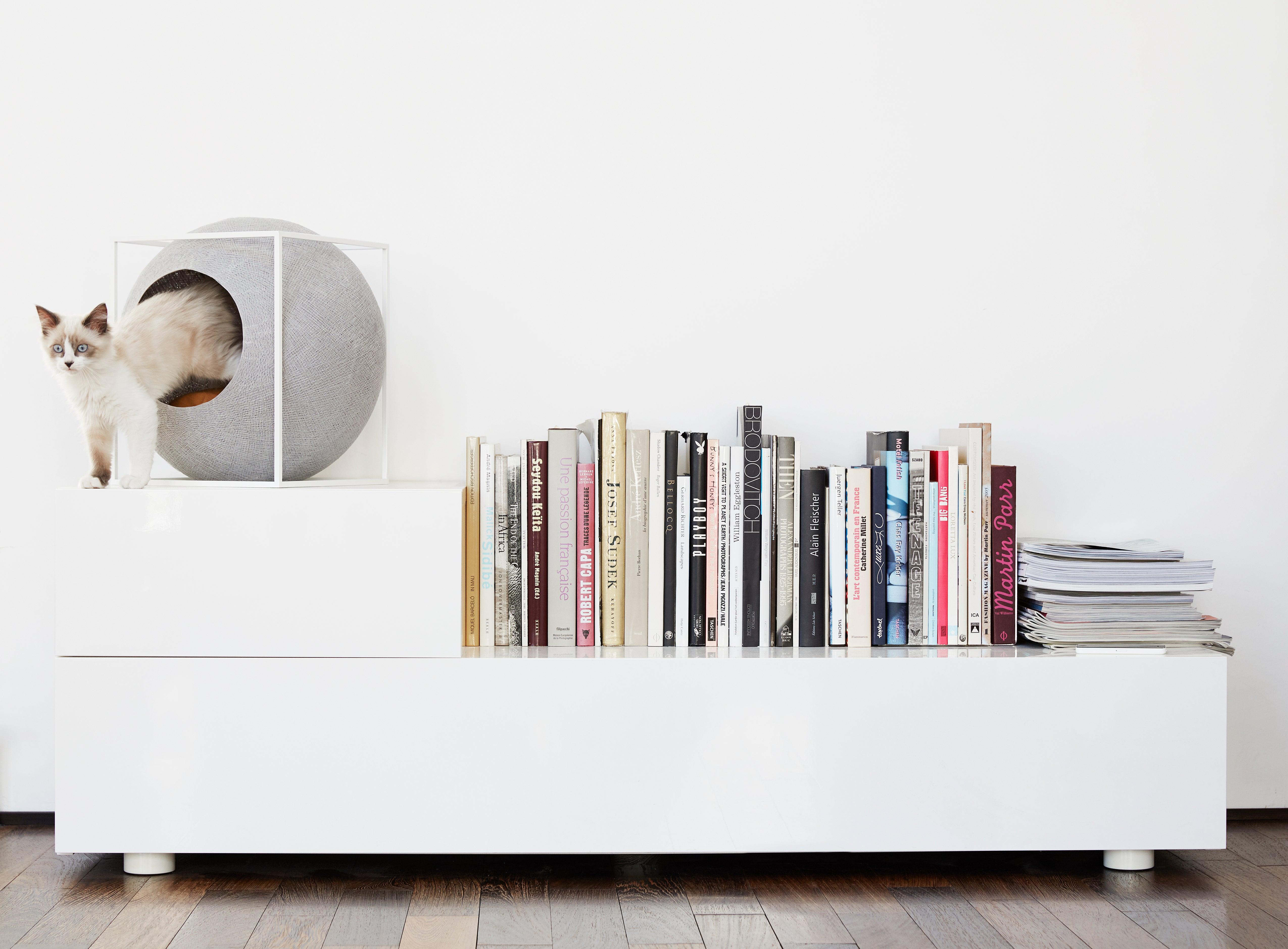 Meyou - Une gamme de mobilier pour chat design, très chic et raffinée - Kasibe.shop