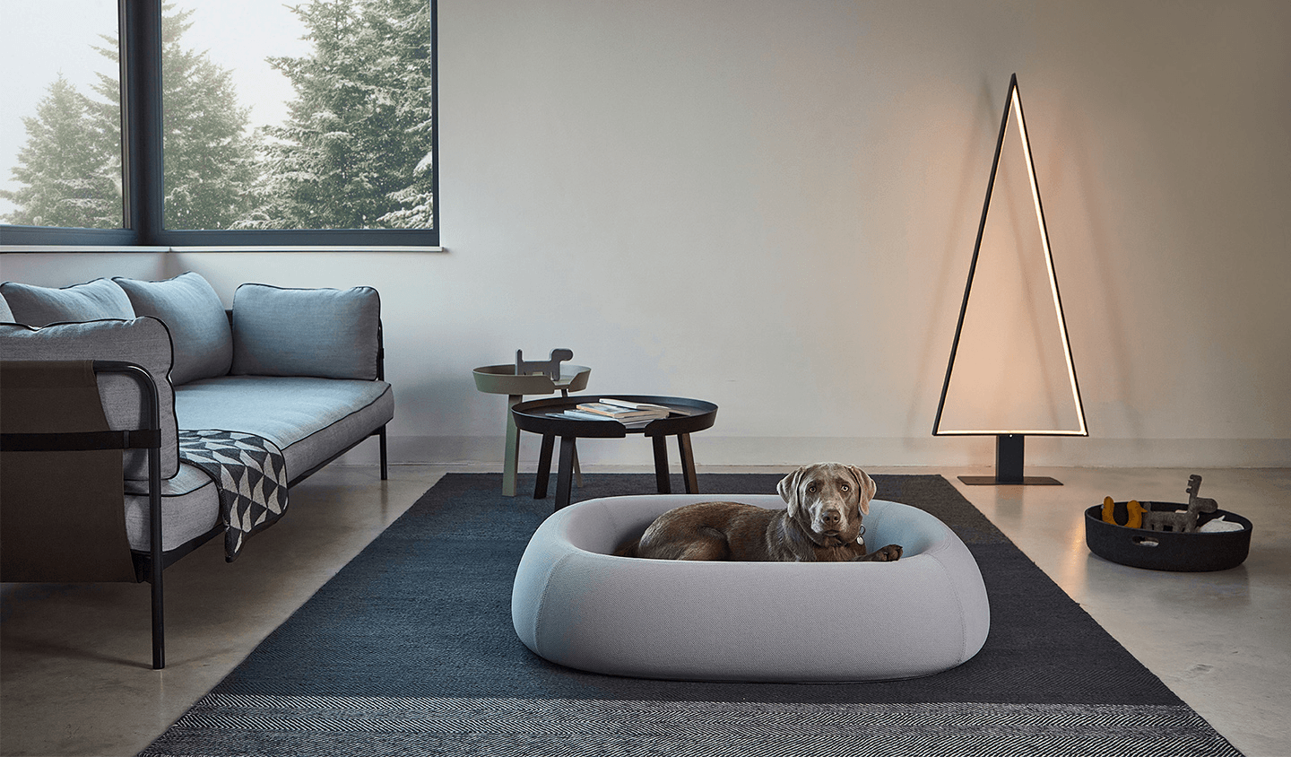MiaCara - Une magnifique gamme d'accessoires design pour chats et chiens - Kasibe