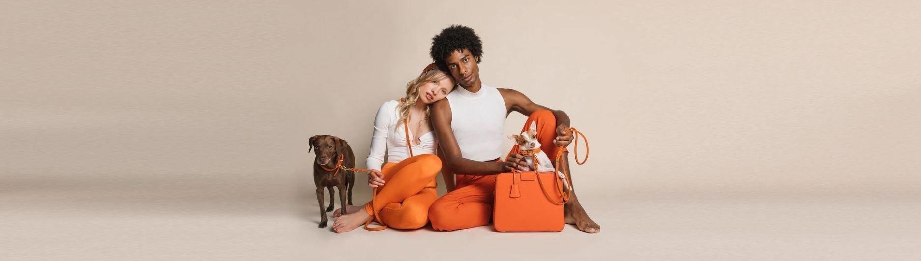 Molly and Stitch - Colliers, laisse et harnais en cuir pour chien - Kasibe