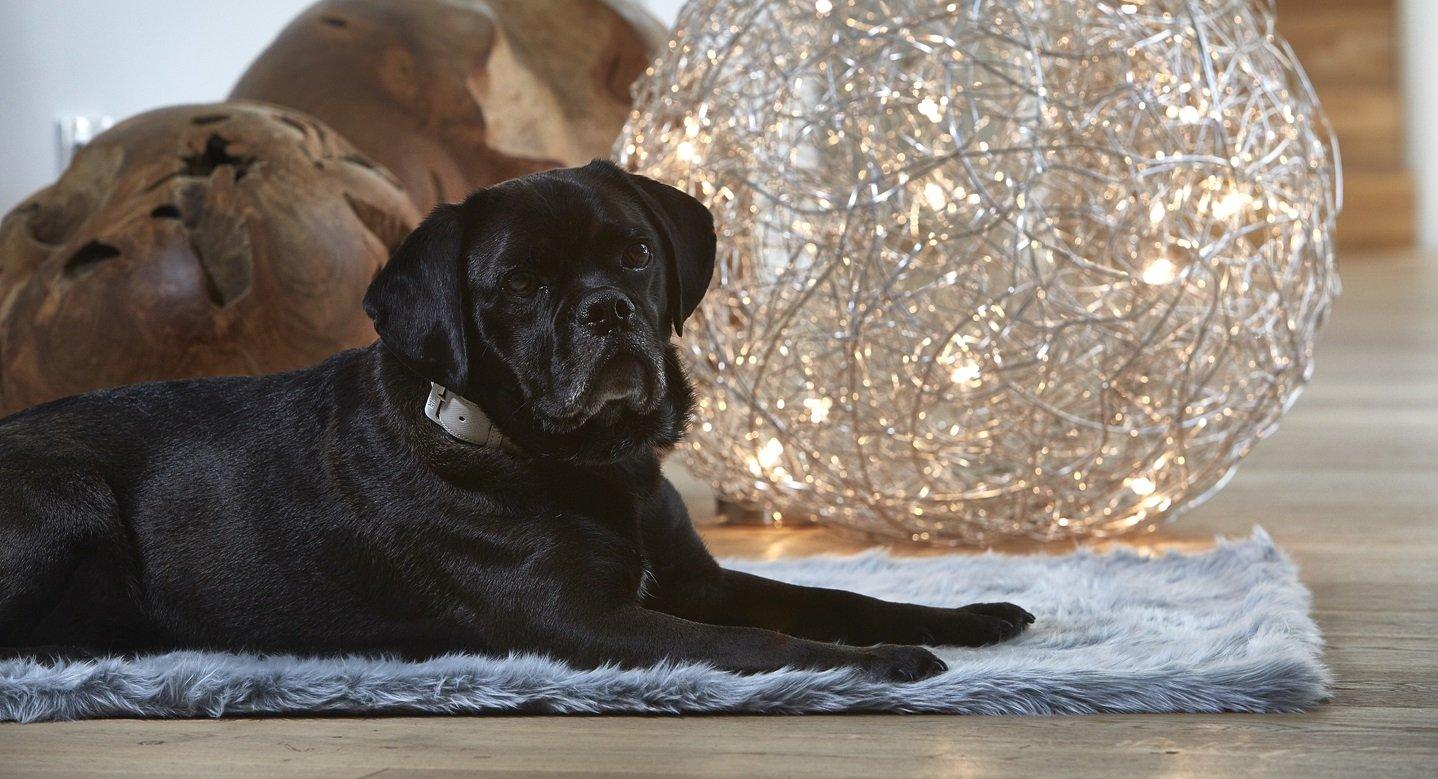 Plaids et couvertures pour chiens et chats - Confort & beauté - Kasibe