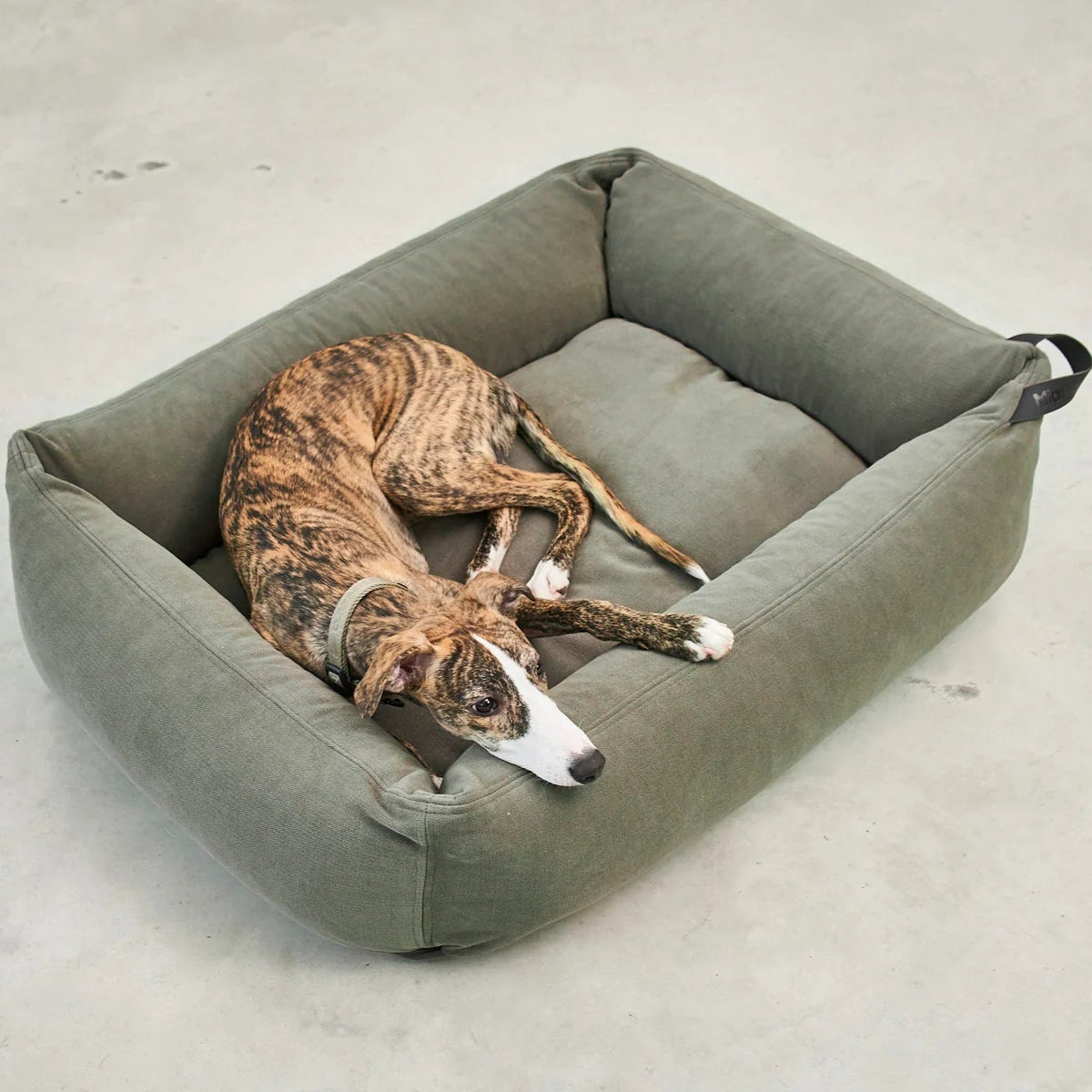 panier pour chien sauge comodo miacara - kasibe