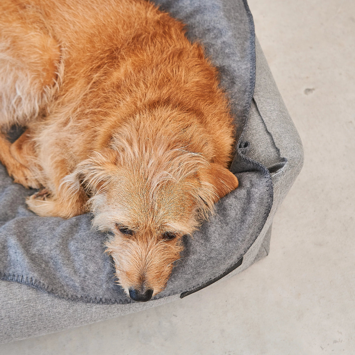 housse de panier pour chien grise miacara - kasibe