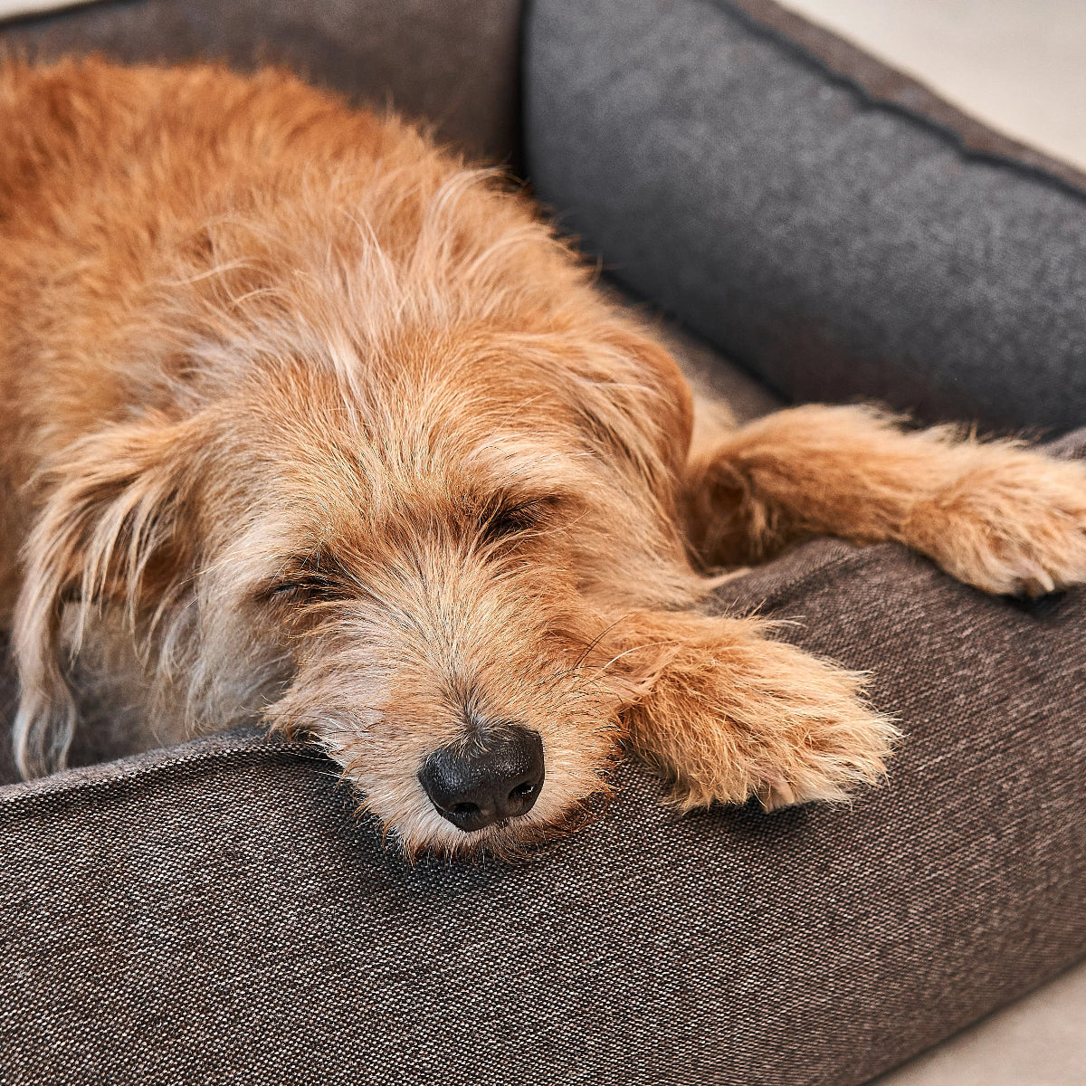 housse de panier pour chien miacara - kasibe