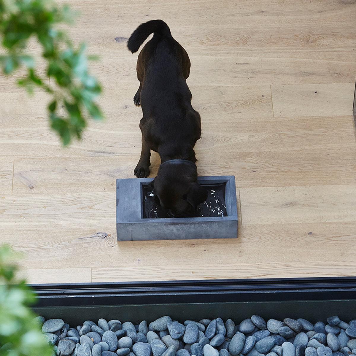 Abreuvoir pour chien - TROGOLO - Kasibe