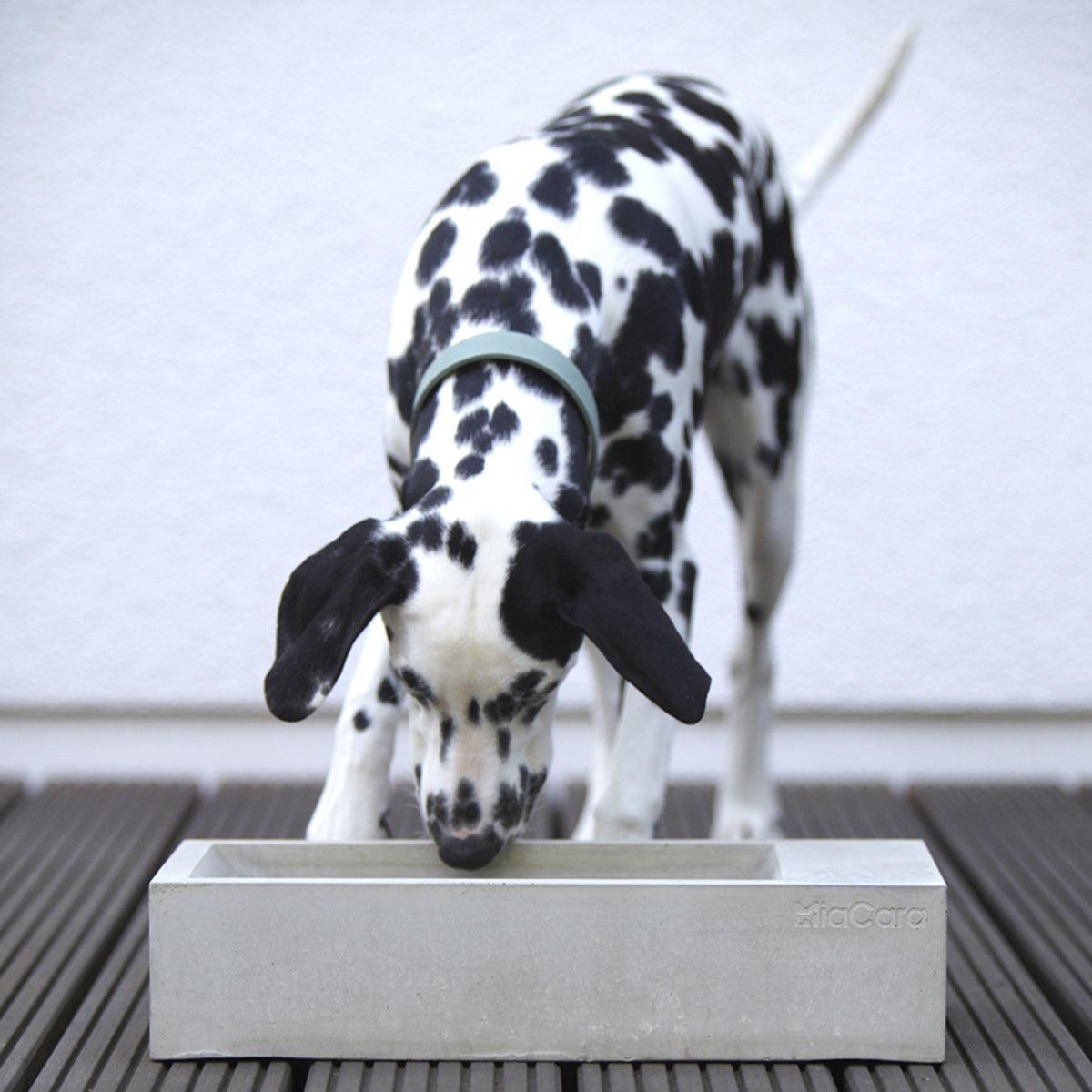 Abreuvoir pour chien - TROGOLO - Kasibe