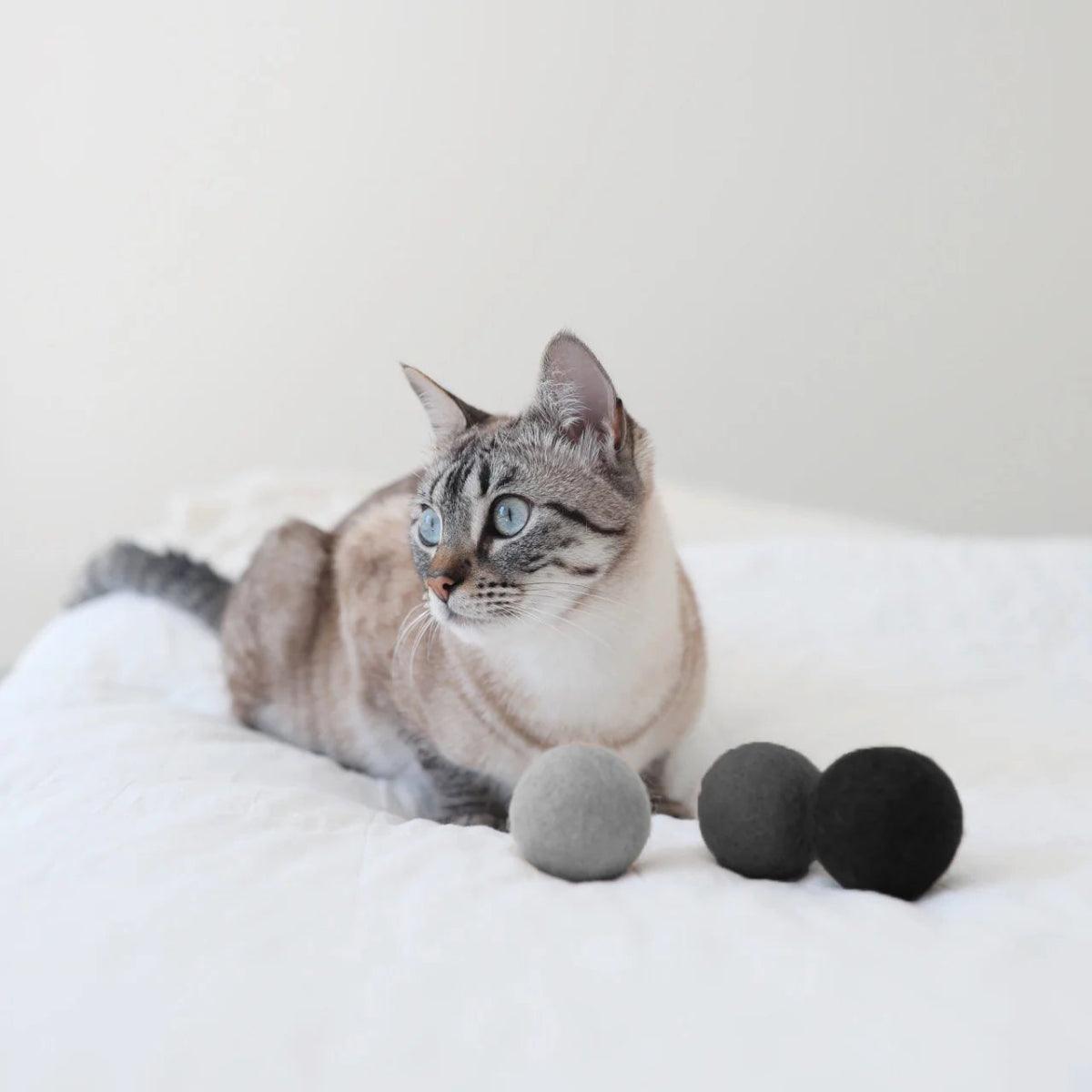 Balle pour chat (Lot de 2 x 3 balles) - GLOBO - Kasibe