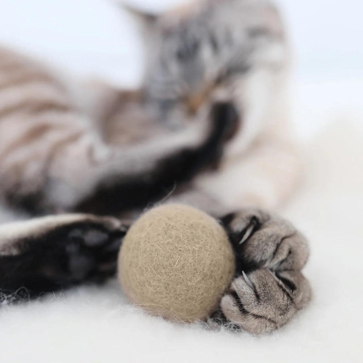 Balle pour chat (Lot de 2 x 3 balles) - GLOBO - Kasibe