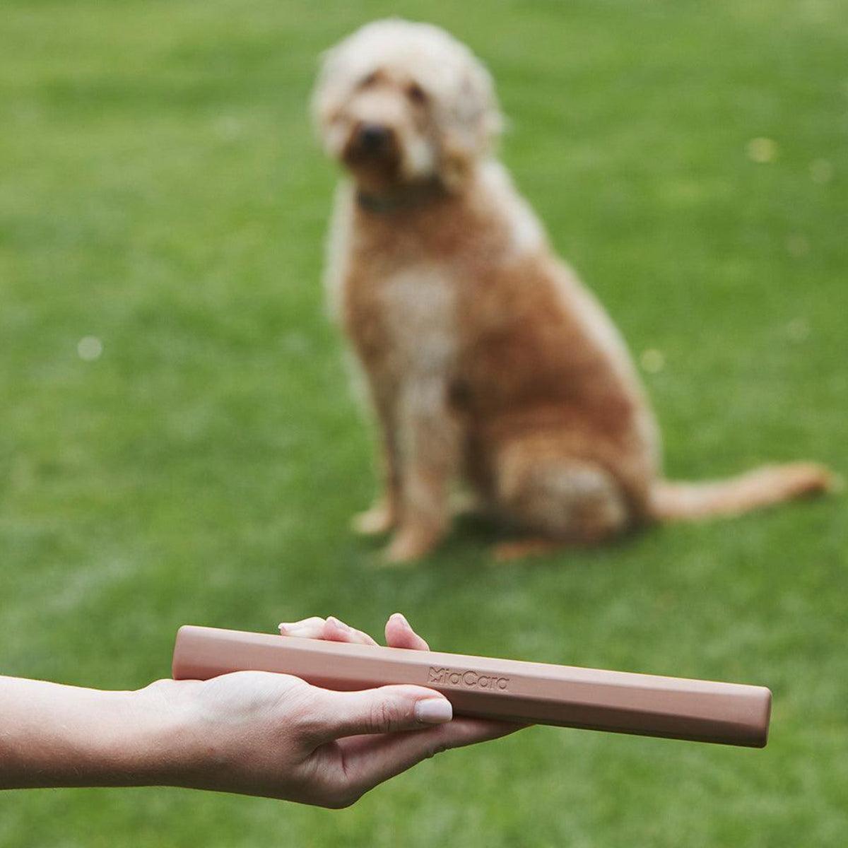 Bâton pour chien (lot de 2) - RAMO - Kasibe