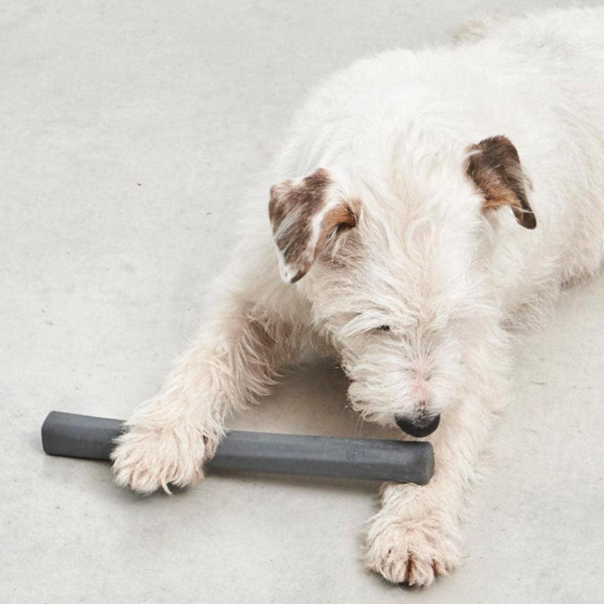 Bâton pour chien (lot de 2) - RAMO - Kasibe