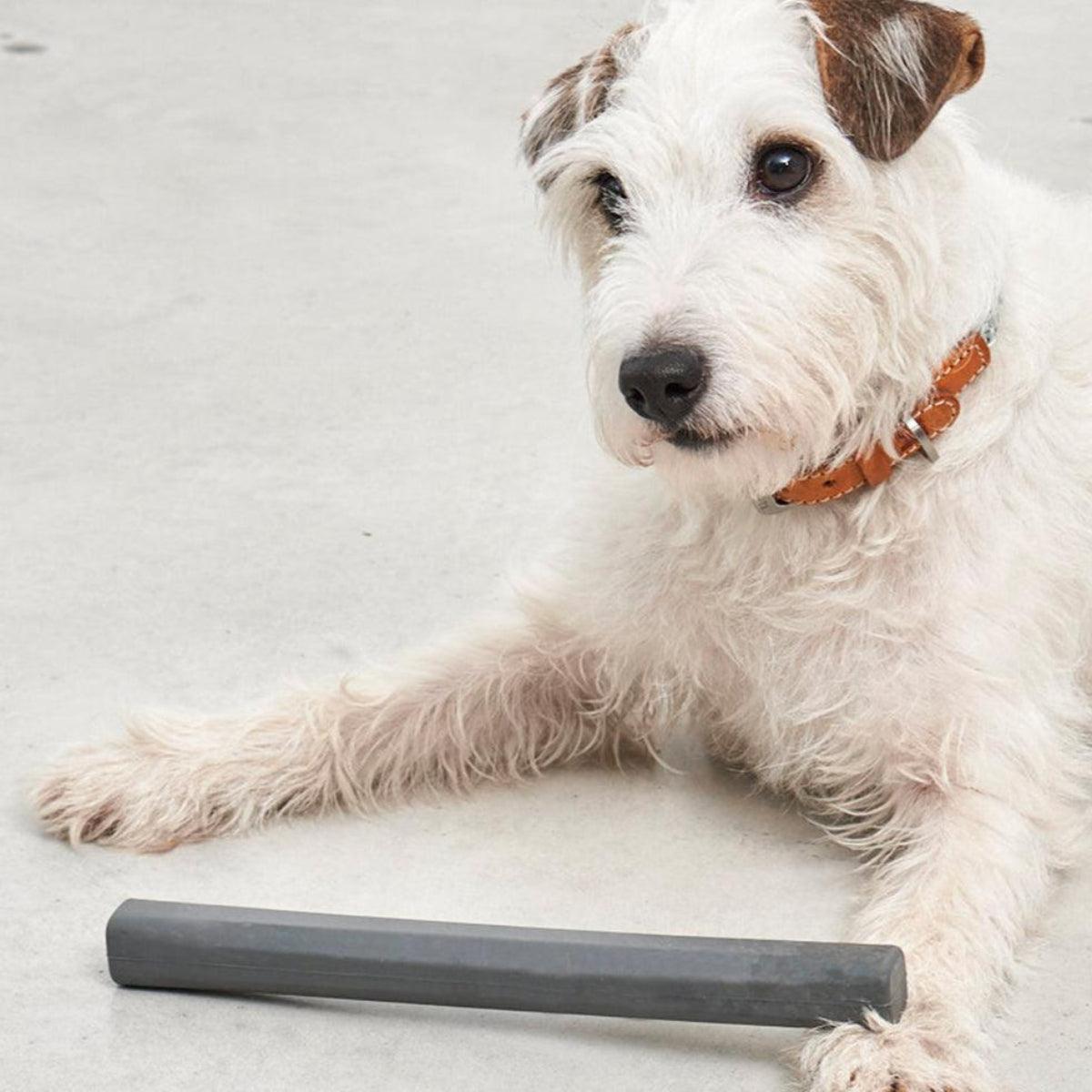 Bâton pour chien (lot de 2) - RAMO - Kasibe