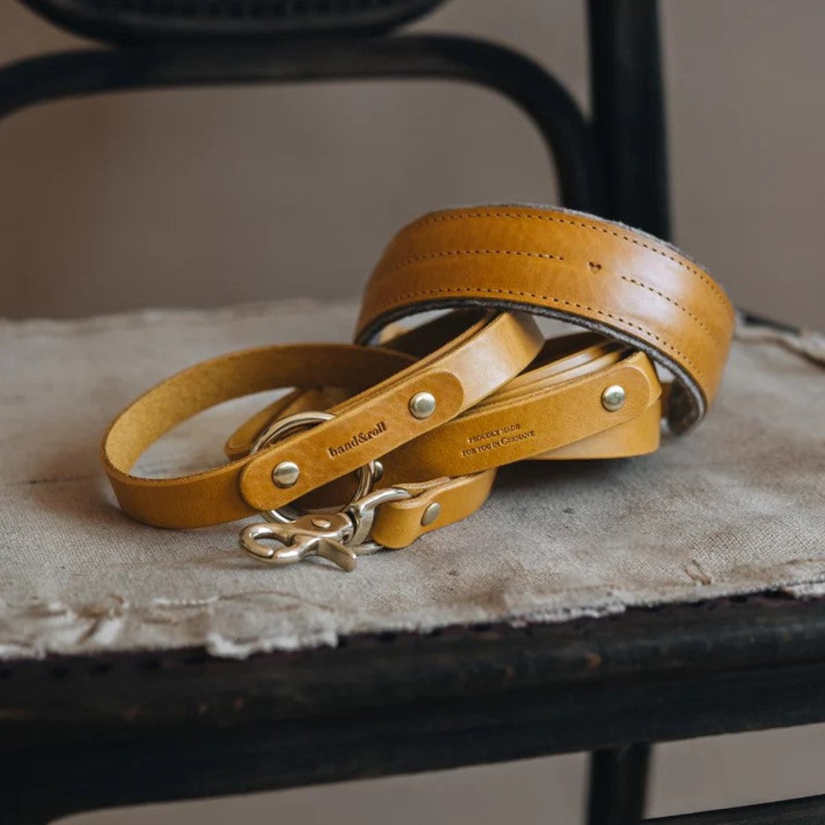 Beau collier pour chien - PIN - Kasibe