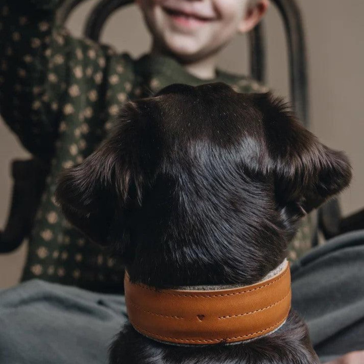 Beau collier pour chien - PIN - Kasibe