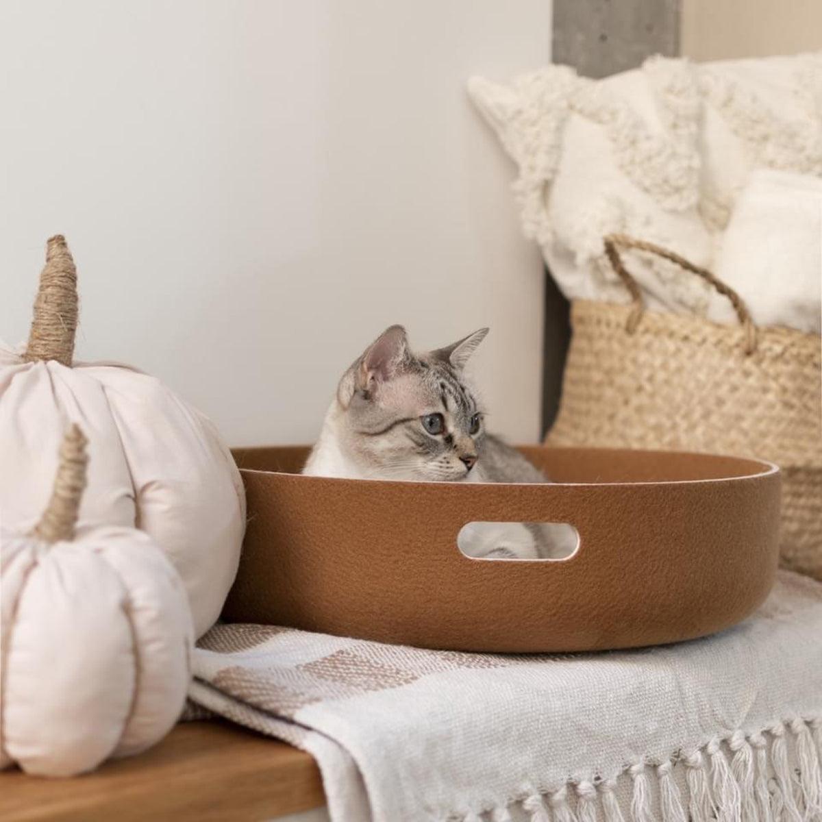 Beau panier pour chat - CESTO - Kasibe