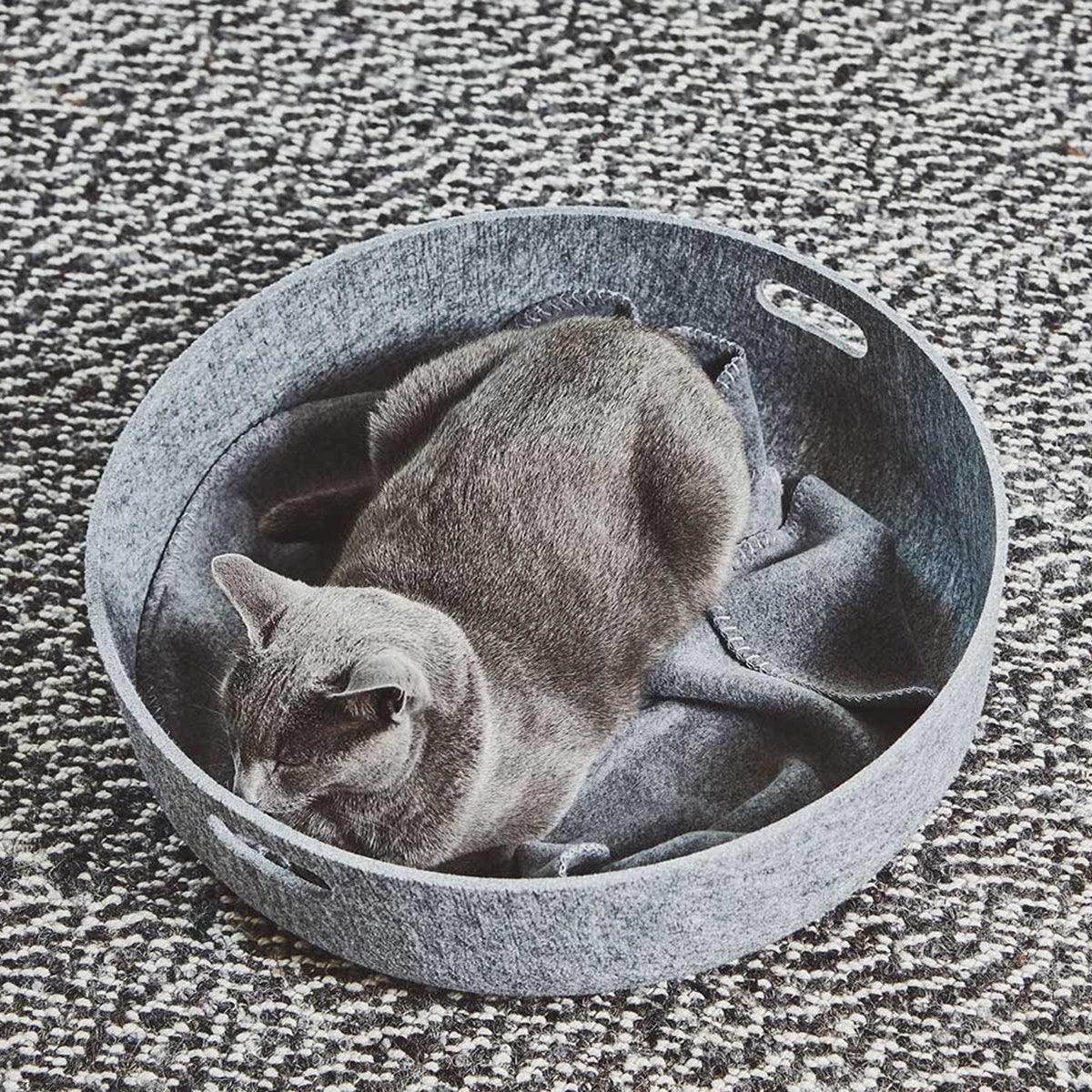 Beau panier pour chat - CESTO - Kasibe