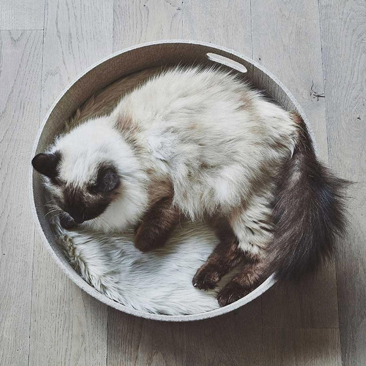 Beau panier pour chat - CESTO - Kasibe