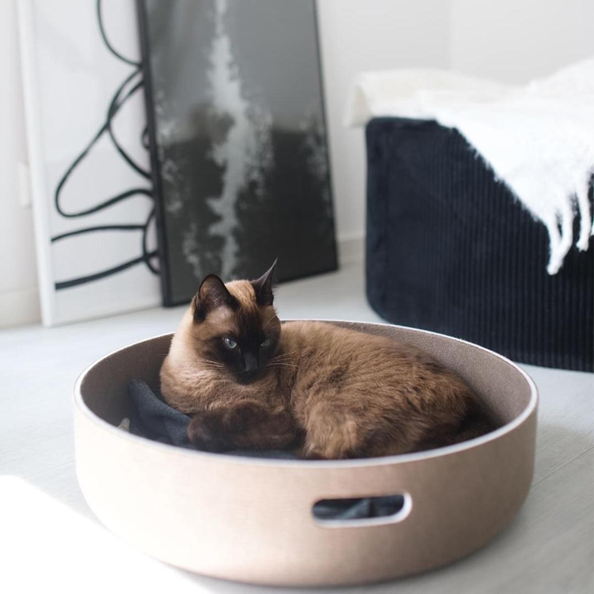 Beau panier pour chat - CESTO - Kasibe