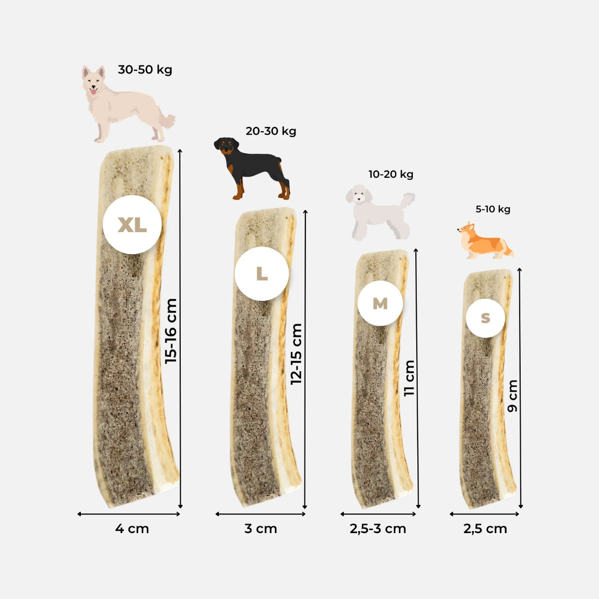 Bois de cerf pour chien - kasibe