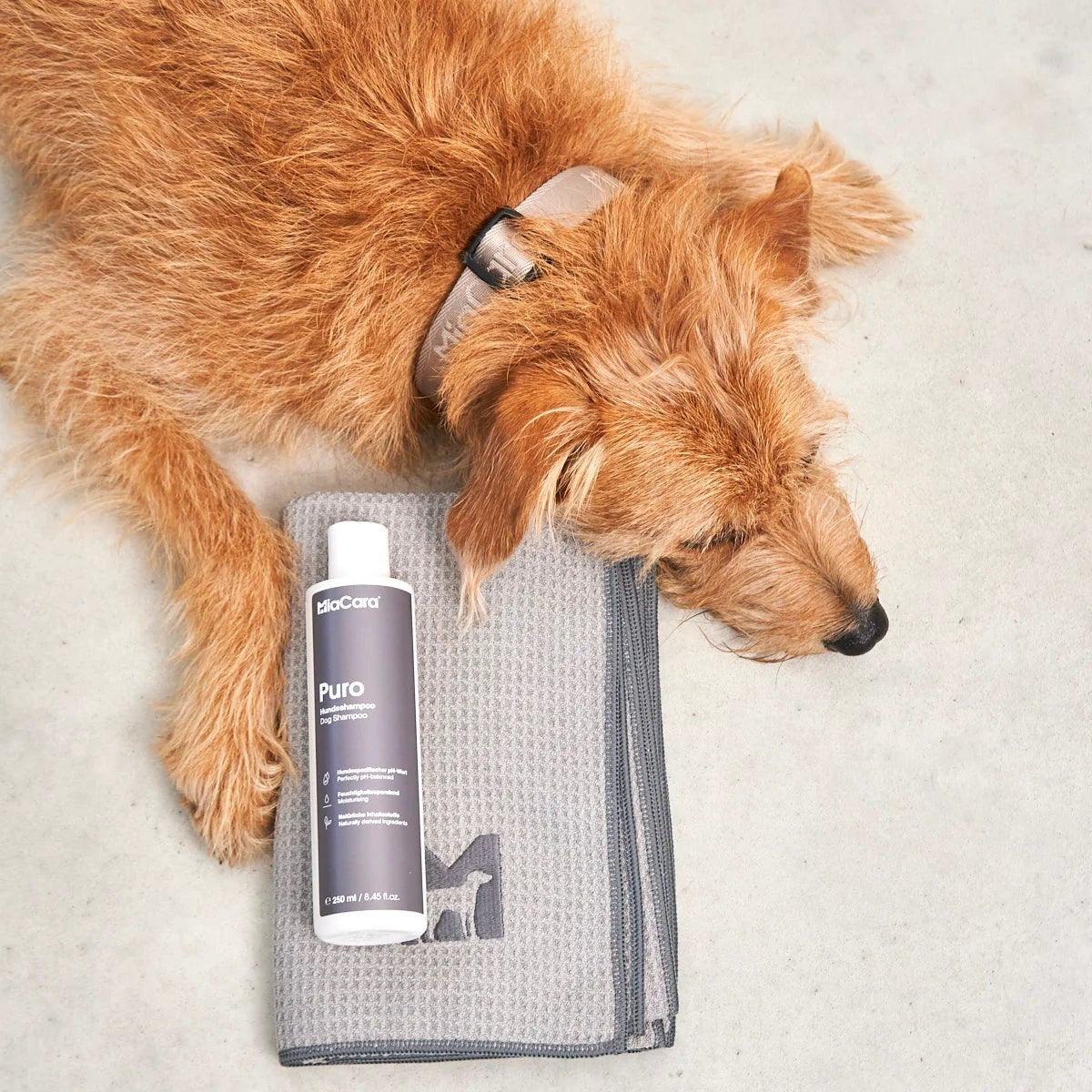 Brosse pour chien - PELO - Kasibe