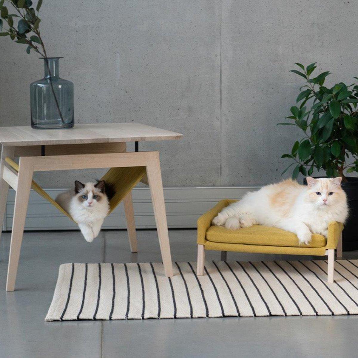 Canapé lit pour chat & chien très confortable Lulu - kasibe