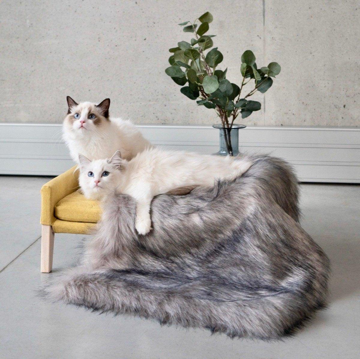 Canapé lit pour chat & chien très confortable Lulu - kasibe