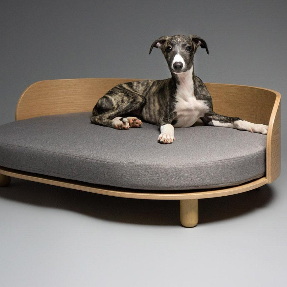 Canapé pour chien et chat - LOUE - Kasibe