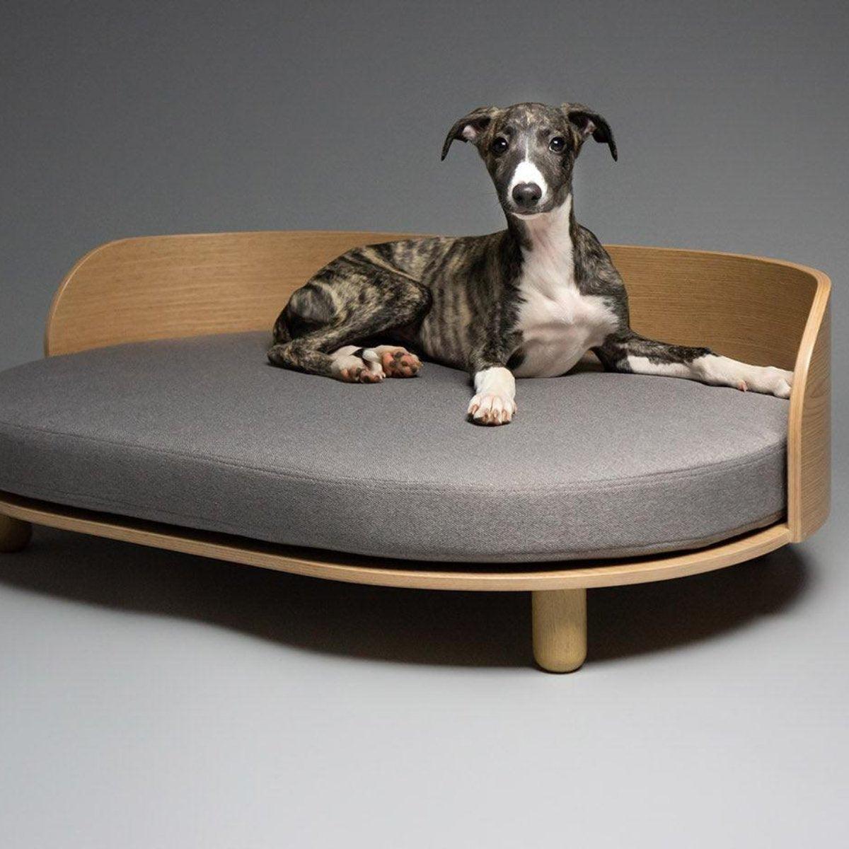 Canapé pour chien et chat - LOUE - Kasibe