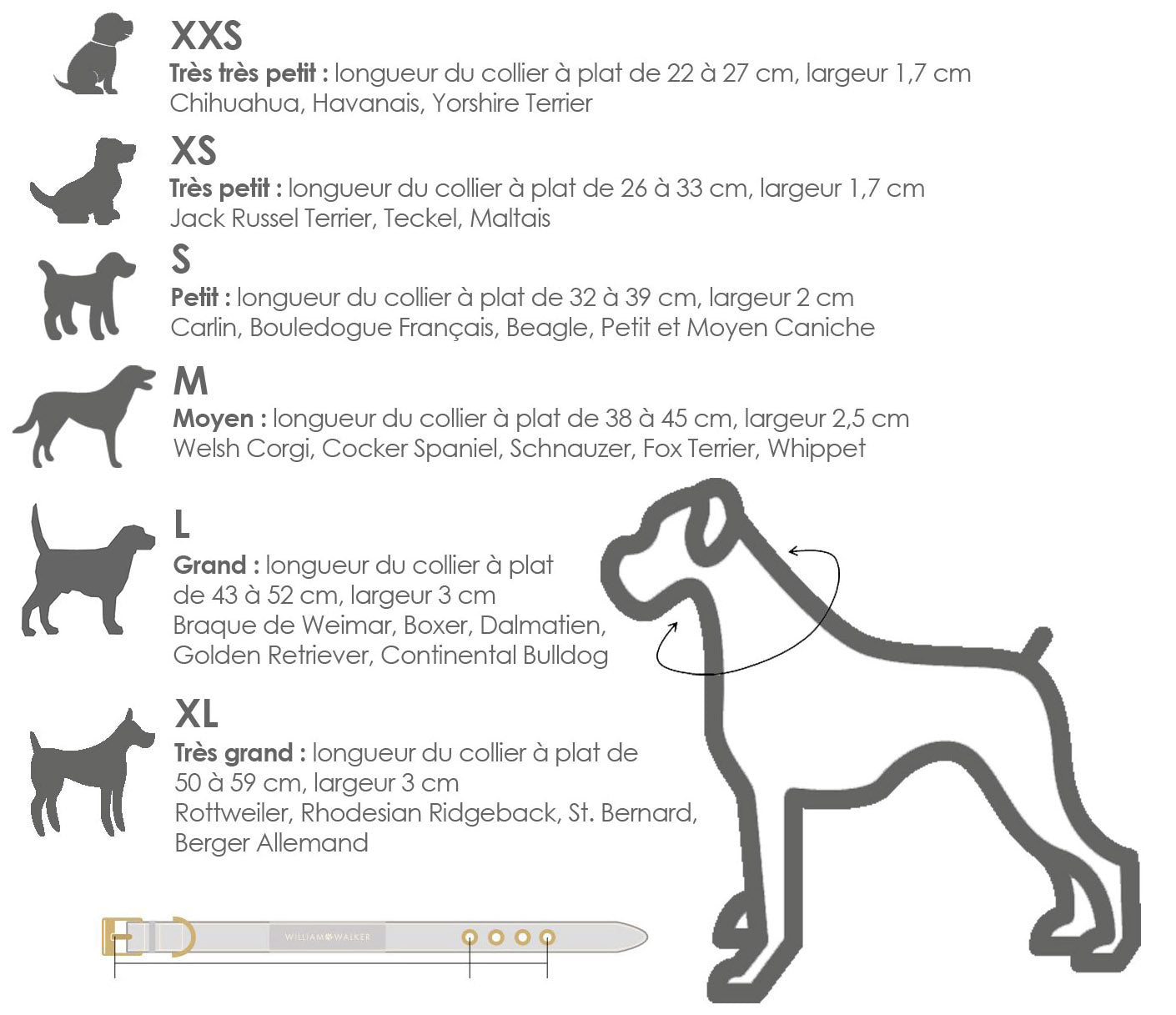 Kasibe guide de taille collier cuir chien william walker