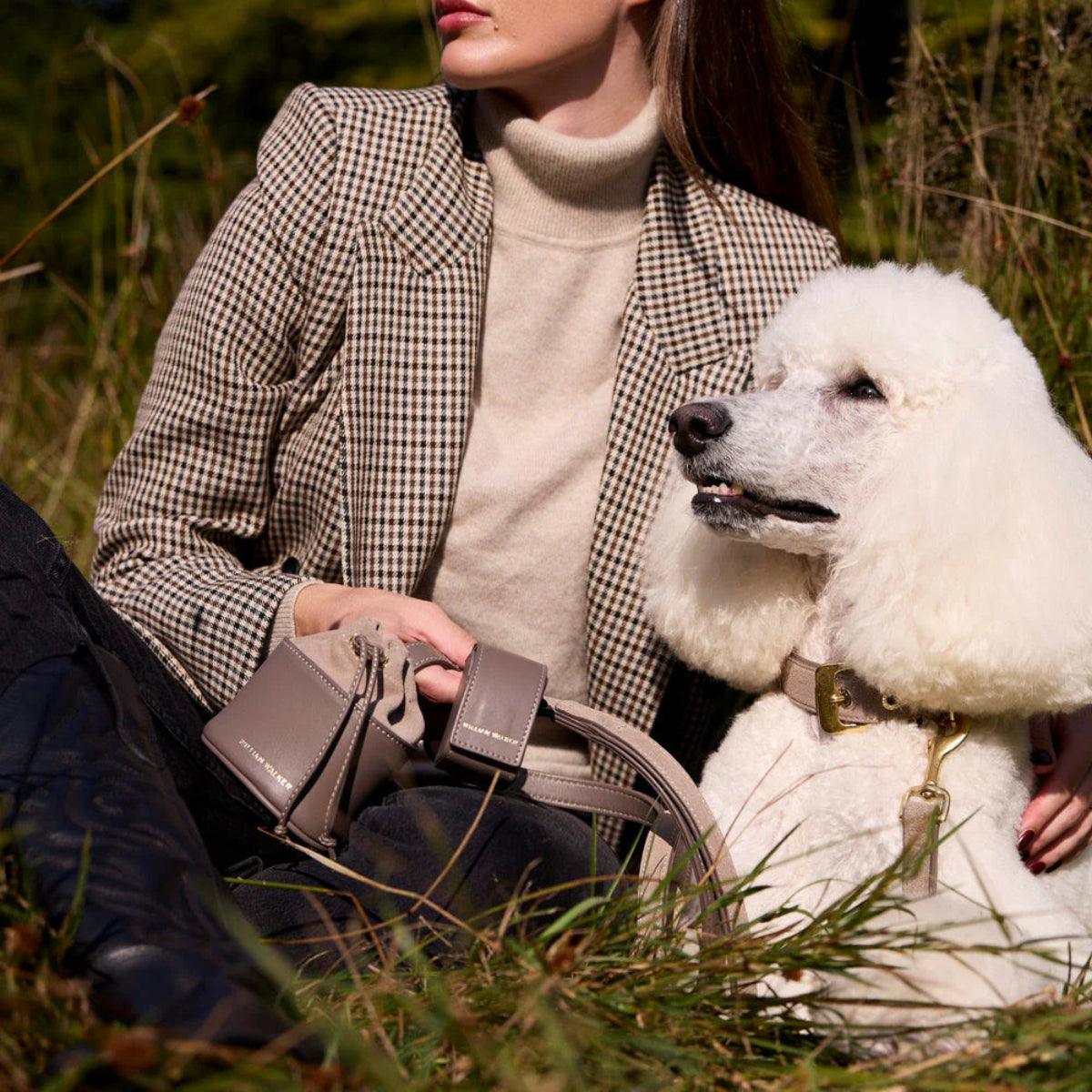 Collier en daim pour chien taupe - kasibe