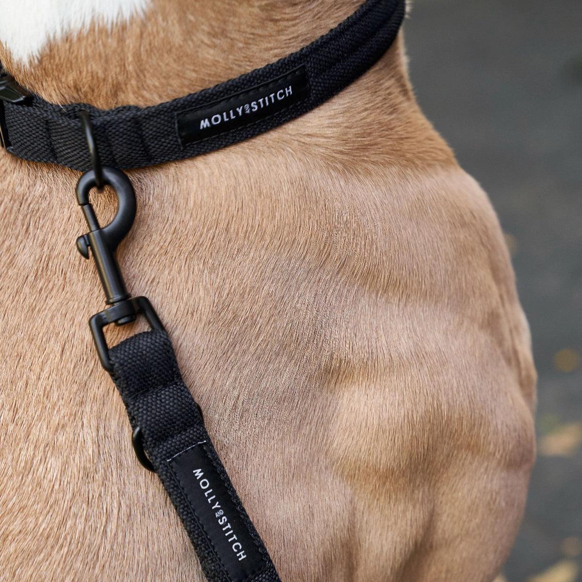 collier pour chien tissu noir - kasibe