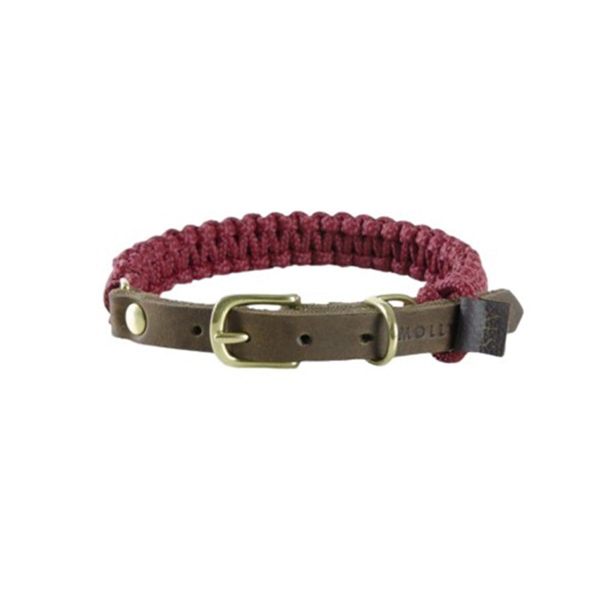 collier pour chien en corde et cuir bordeaux boucle laiton - kasibe