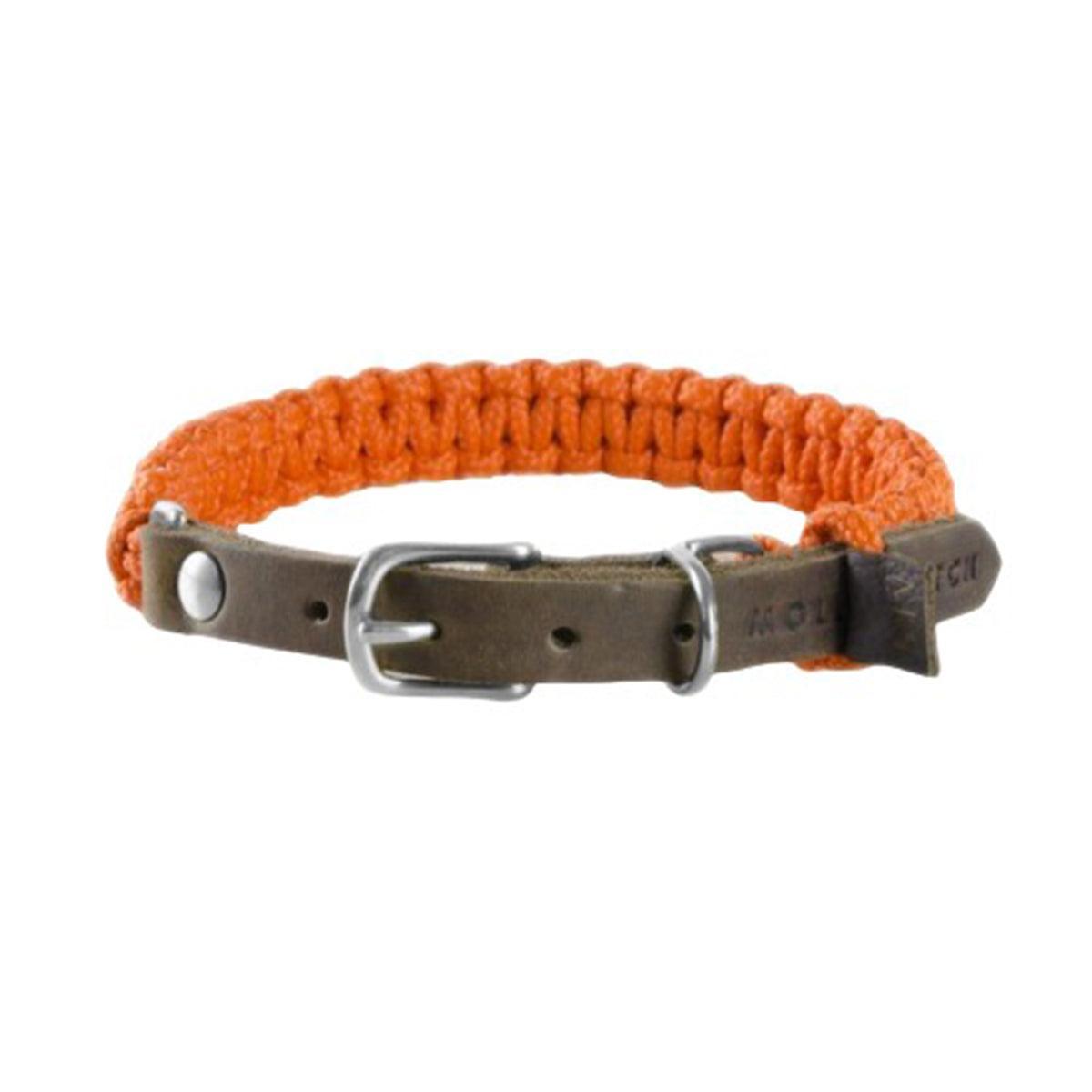 collier pour chien en corde et cuir orange boucle argent - kasibe