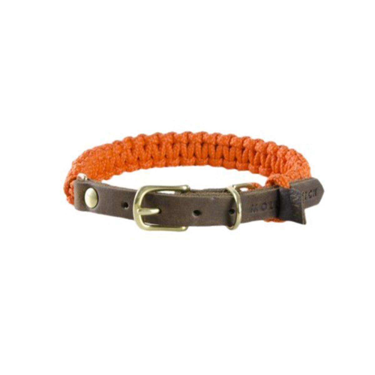 collier pour chien en corde et cuir ornnge boucle laiton - kasibe