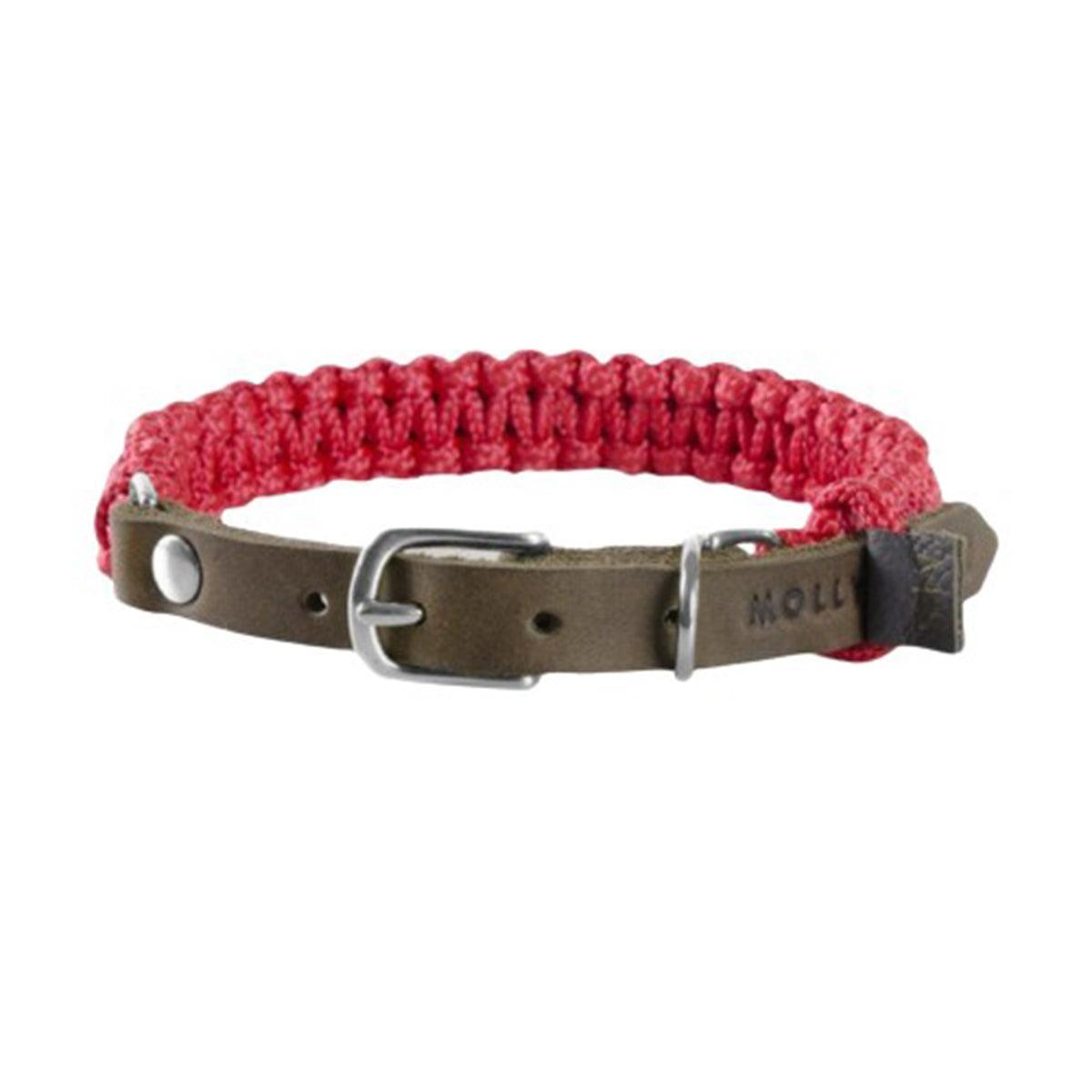 collier pour chien en corde et cuir rose boucle argent - kasibe