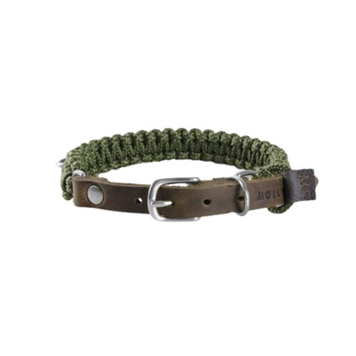 collier pour chien en corde et cuir vert boucle argent - kasibe