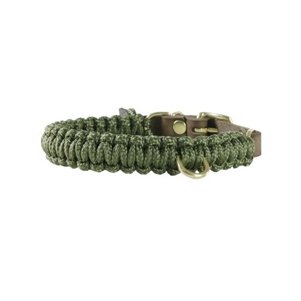 collier pour chien en corde et cuir marron boucle argent arrière - kasibe