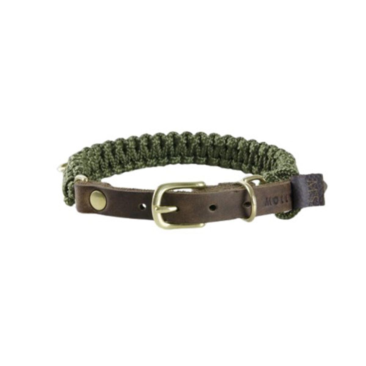 collier pour chien en corde et cuir vert boucle laiton - kasibe
