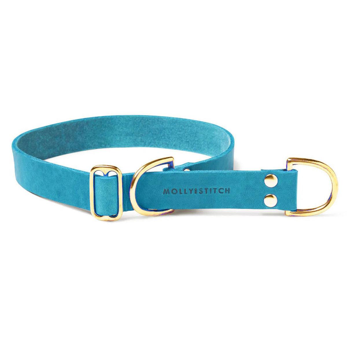 Collier en cuir pour chien - FIDJI - Kasibe