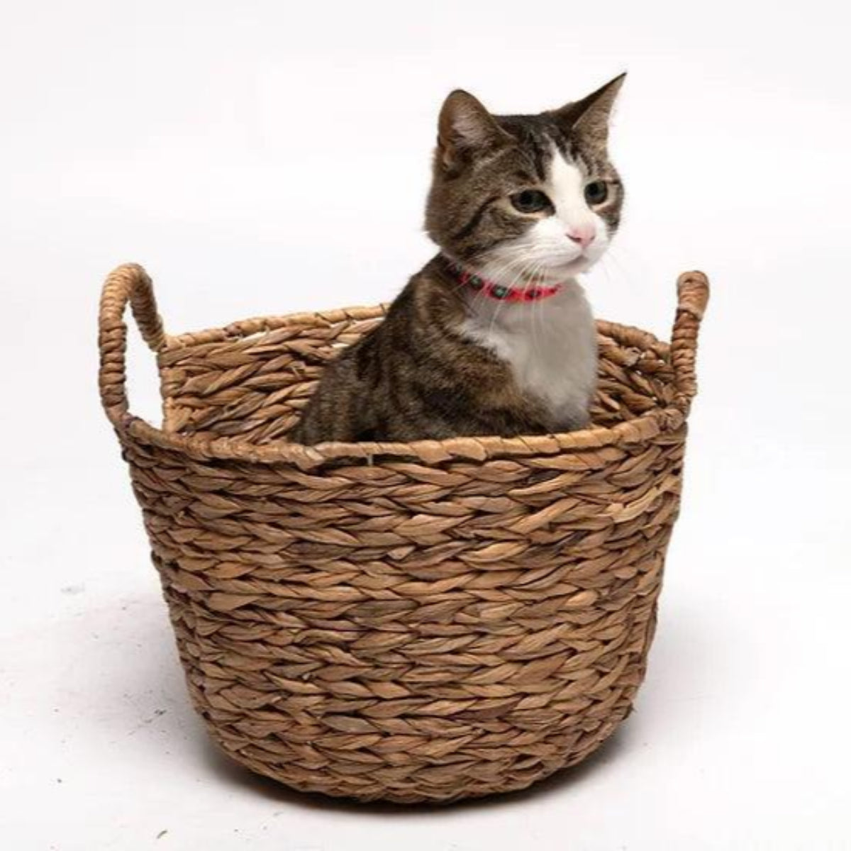 Collier pour chat au tressage mexicain en cuir et coton - Kasibe