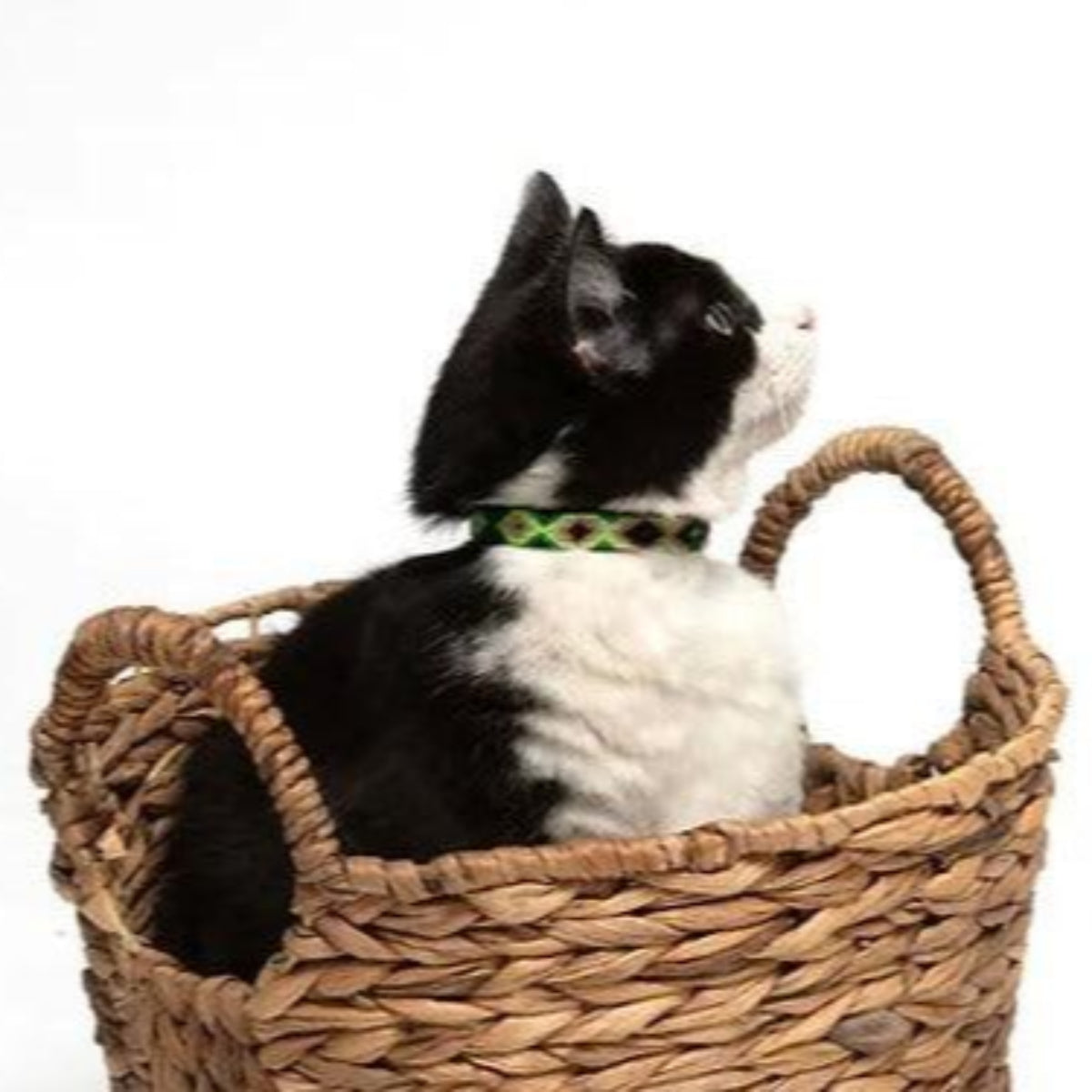 Collier pour chat au tressage mexicain en cuir et coton - Kasibe