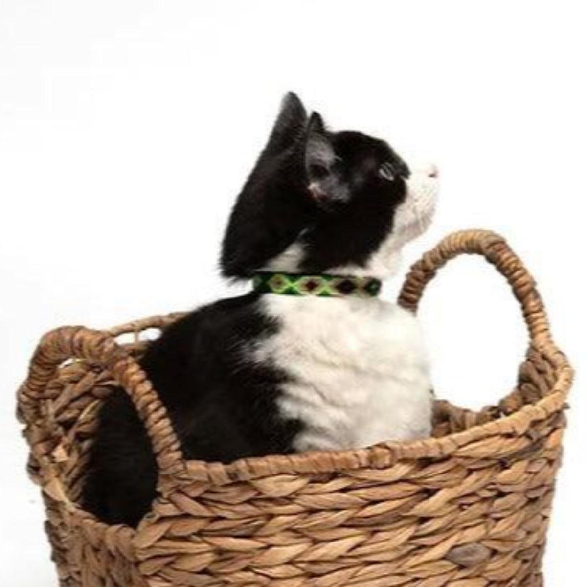 Collier pour chat au tressage mexicain en cuir et coton - Kasibe