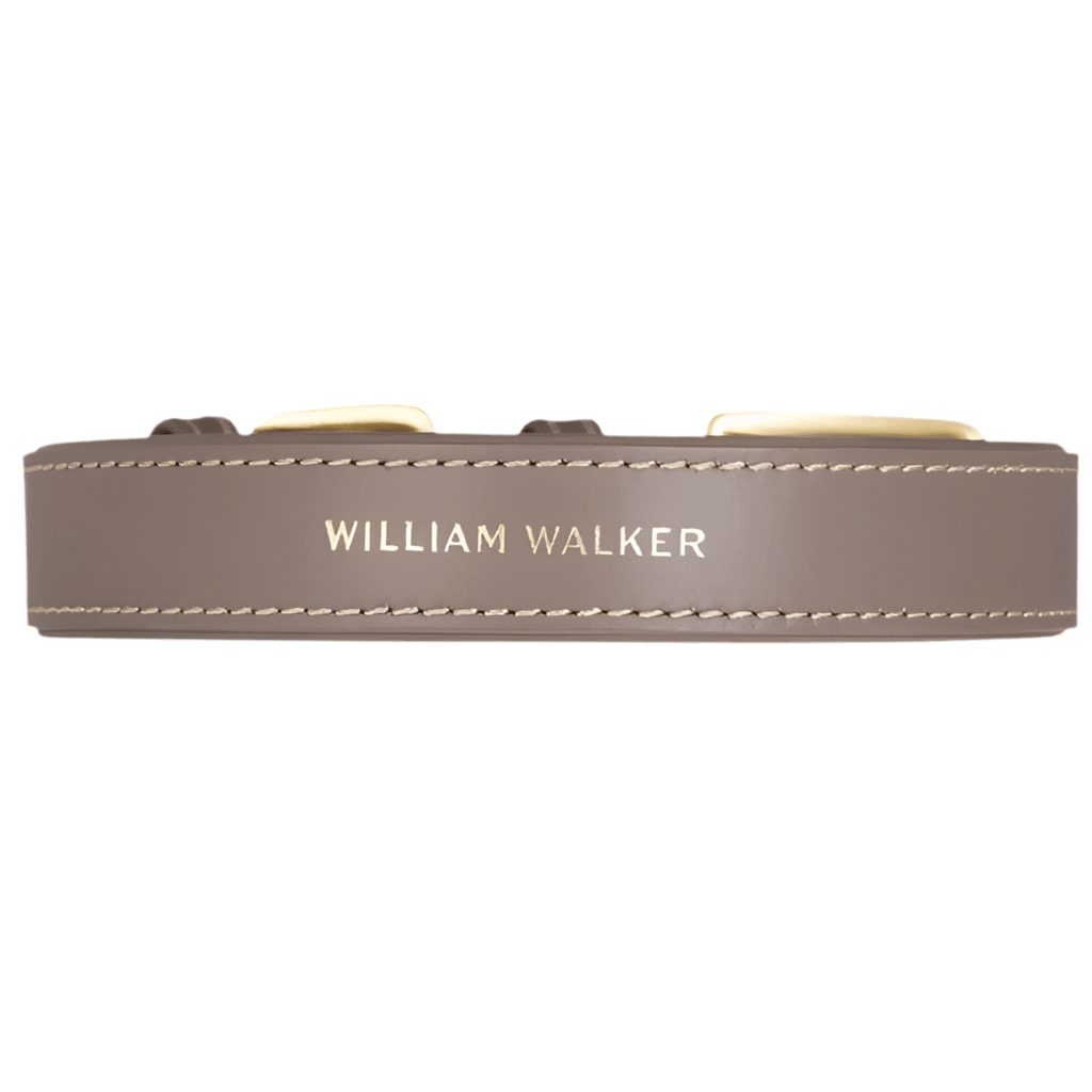 Collier pour chien de luxe - LUXE - Kasibe
