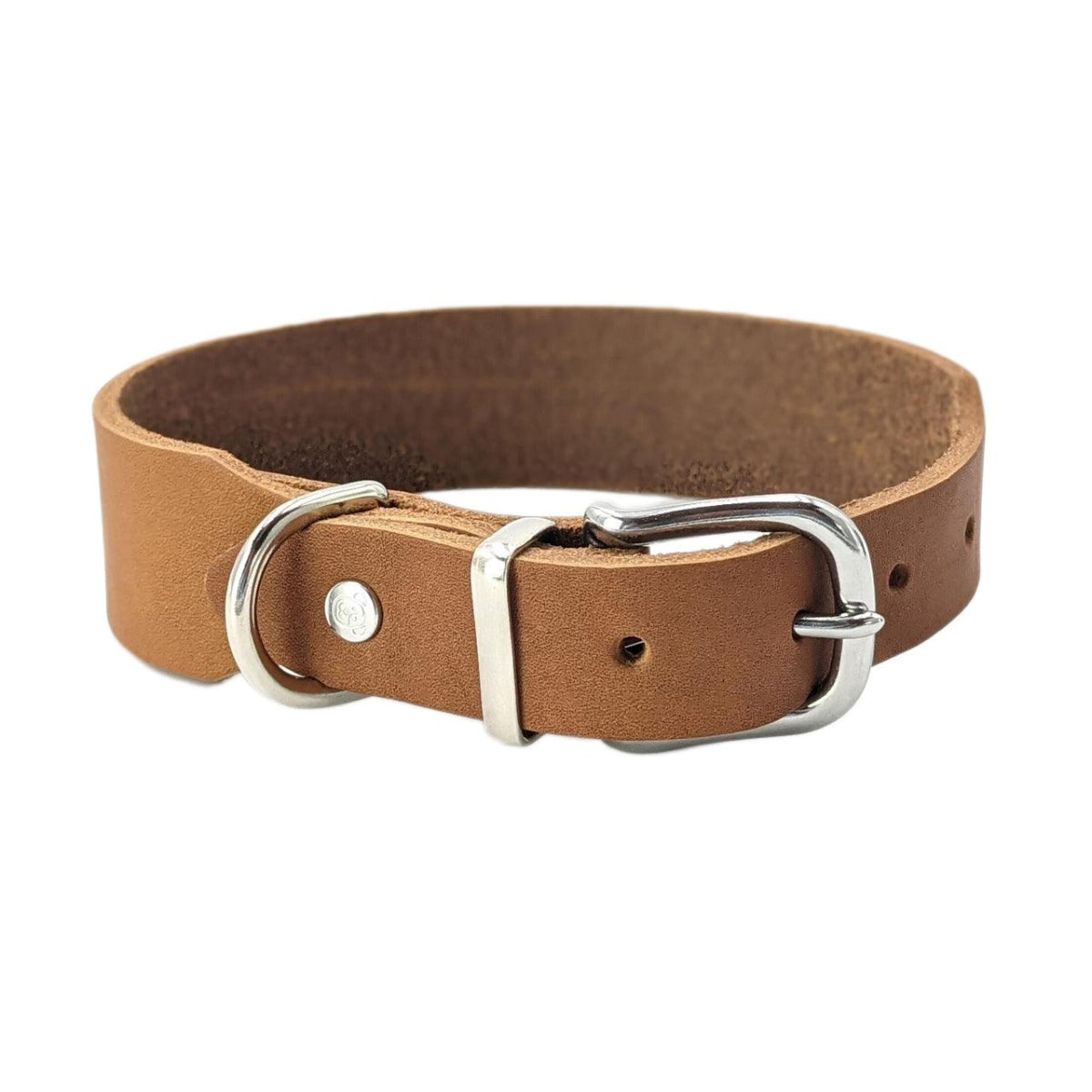 Collier pour chien élégant - GIRO - Kasibe