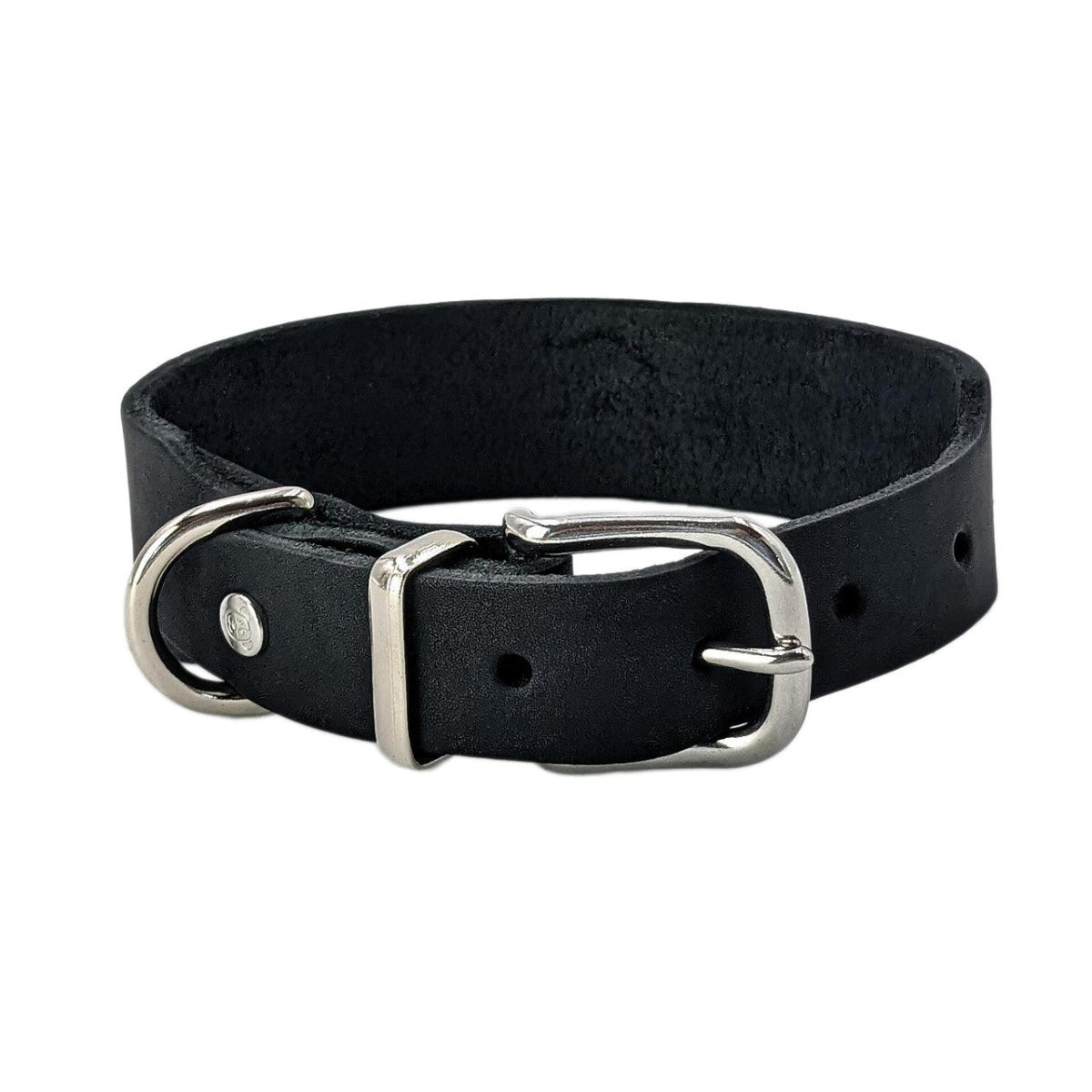 Collier pour chien élégant - GIRO - Kasibe