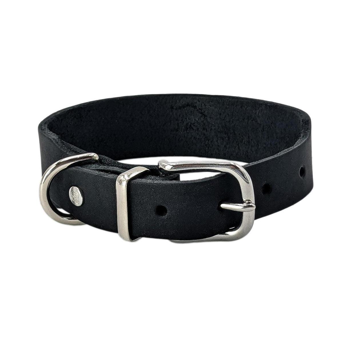 Collier pour chien élégant - GIRO - Kasibe