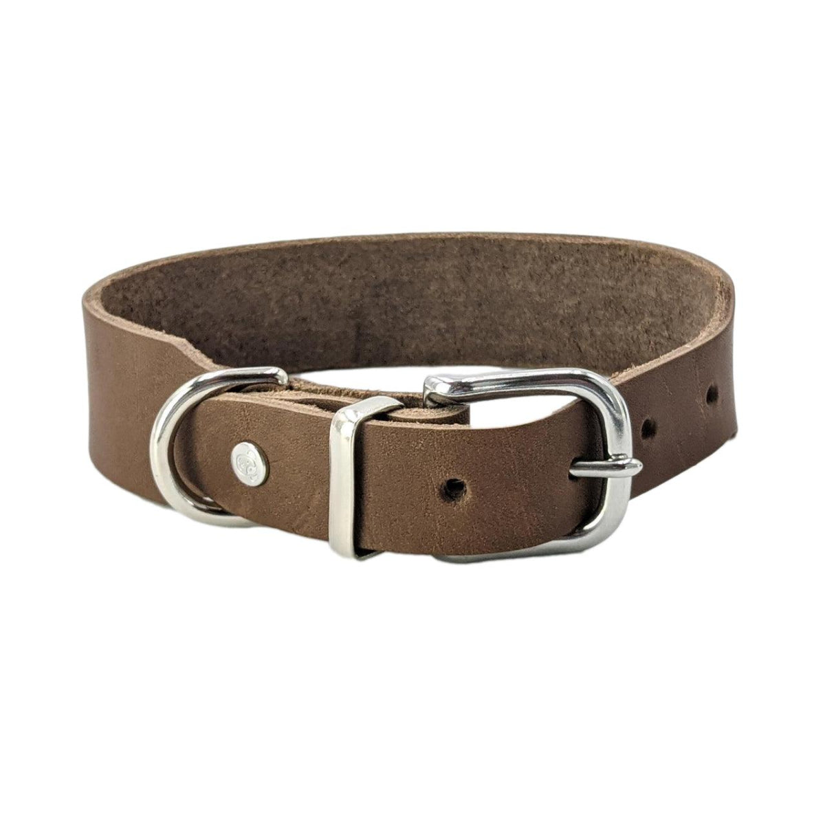 Collier pour chien élégant - GIRO - Kasibe